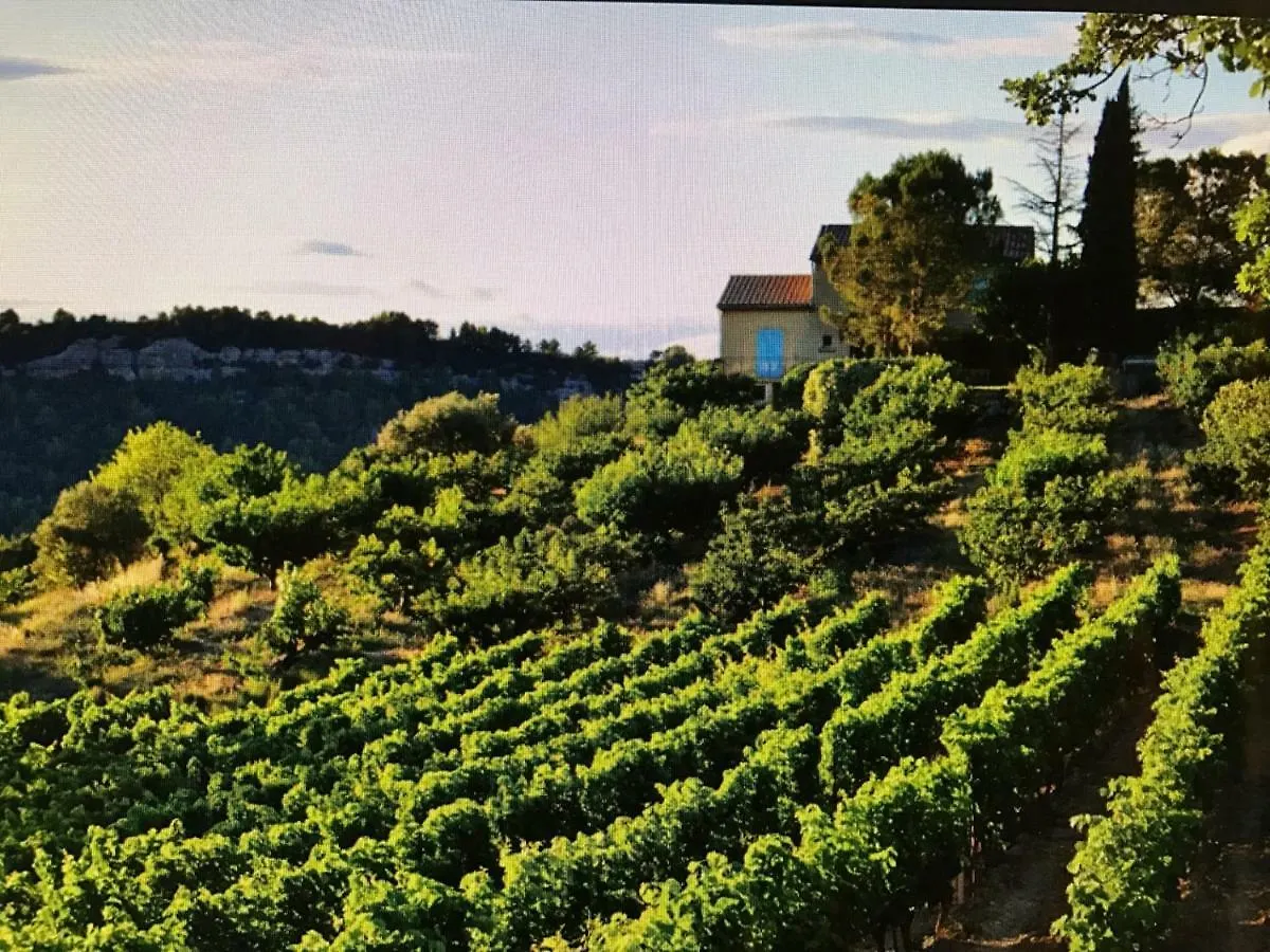 Villa Lina Bandol 0*,